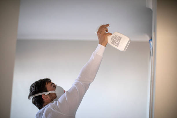 Best Localized Mold Remediation (e.g., coastal areas, humid climates) in San Anselmo, CA